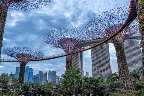 singapore marina bay gardens